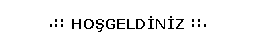 Hoşgeldin